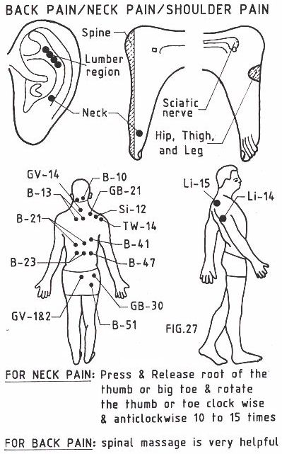 acupressure points back