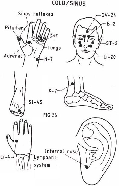 common cold. 2011 common cold symptoms.